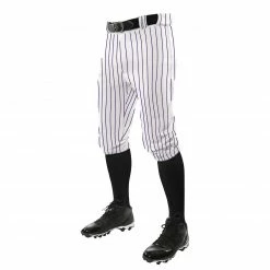 LeTrell Youth Pro Pinstripe Knicker Baseball Pants: P965-2Y 7 LeTrell Youth Pro Pinstripe Knicker Baseball Pants: P965-2Y -Diamond Sport Gear Online Shop 70232 purple
