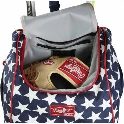 Rawlings Legion Backpack: LEGION -Diamond Sport Gear Online Shop 91Sqp0F2IxL. AC SL1500