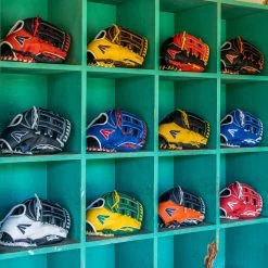 Easton Future Elite 11" Baseball Glove: FE1100-BKOR 10 Easton Future Elite 11" Baseball Glove: FE1100-BKOR -Diamond Sport Gear Online Shop FUTUREELITE large 1482802a 07ff 4909 b8ee e44417791dc2