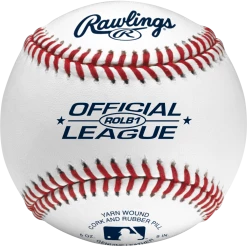 Rawlings ROLB1 Official League Baseballs: ROLB1