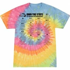 DSG Apparel 2021 NSA Michigan State Championships Fastpitch Tournament T-Shirt -Diamond Sport Gear Online Shop STATEBACKtd