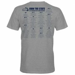 DSG Apparel 2021 NSA Michigan State Championships Fastpitch Tournament T-Shirt -Diamond Sport Gear Online Shop STATEGREYBACK