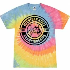 DSG Apparel 2021 NSA Michigan State Championships Fastpitch Tournament T-Shirt